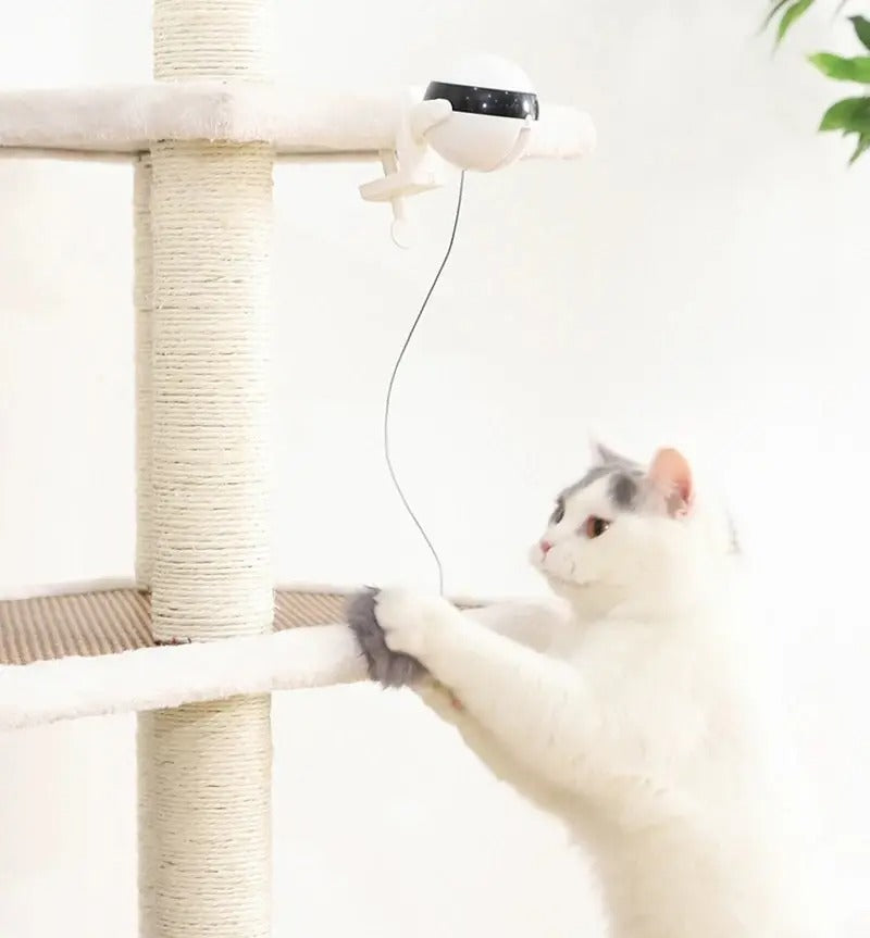 Electronic Motion Cat Toy