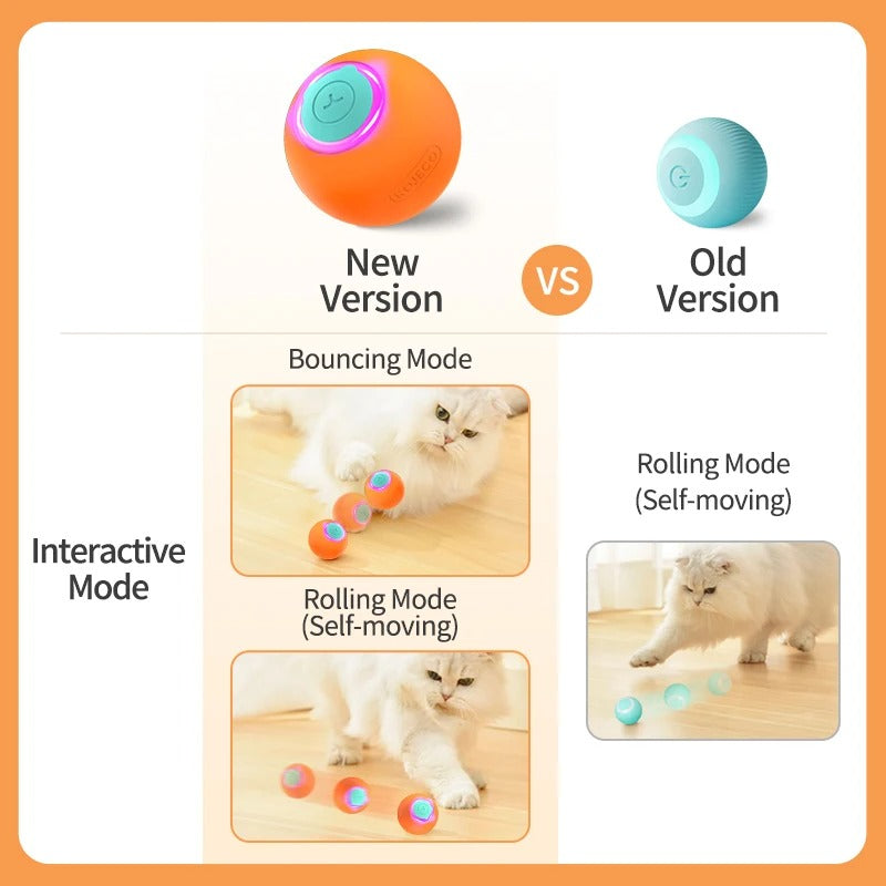 Motion Ball Cat Toy