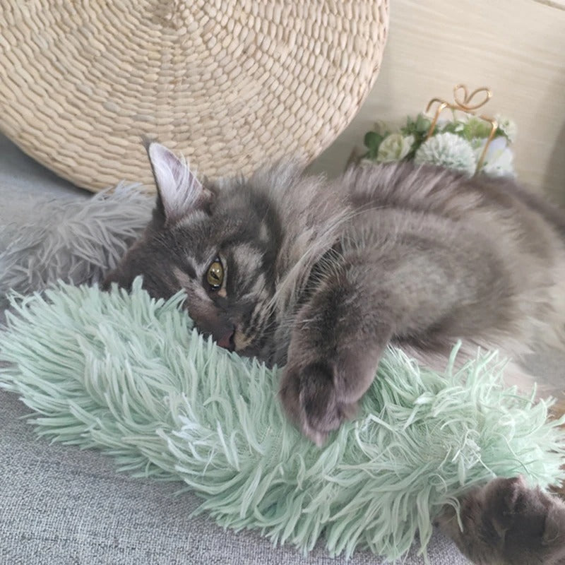 Catnip Plush Chew Toy